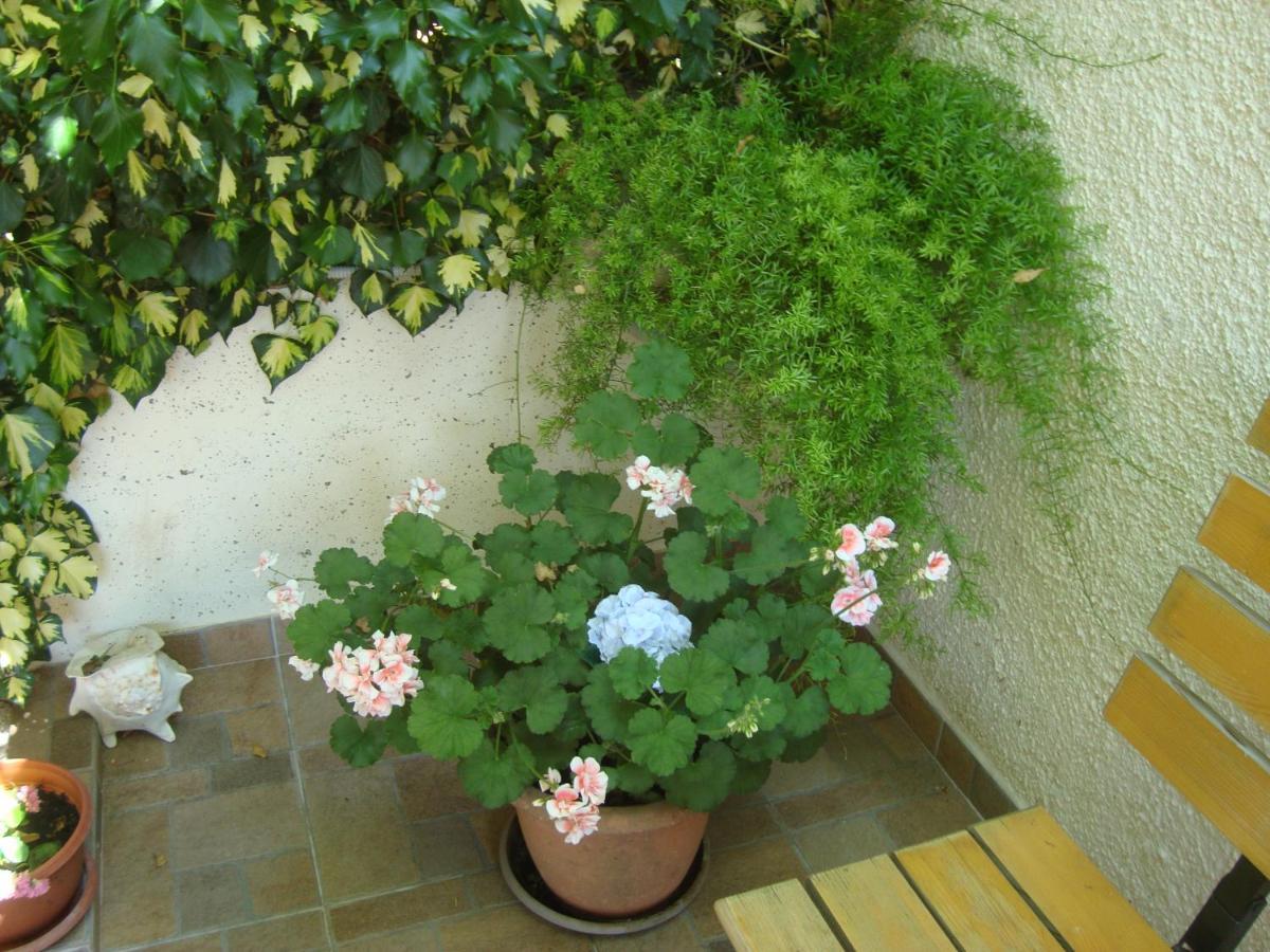 Studio Apartment Lile Trstenik  Buitenkant foto