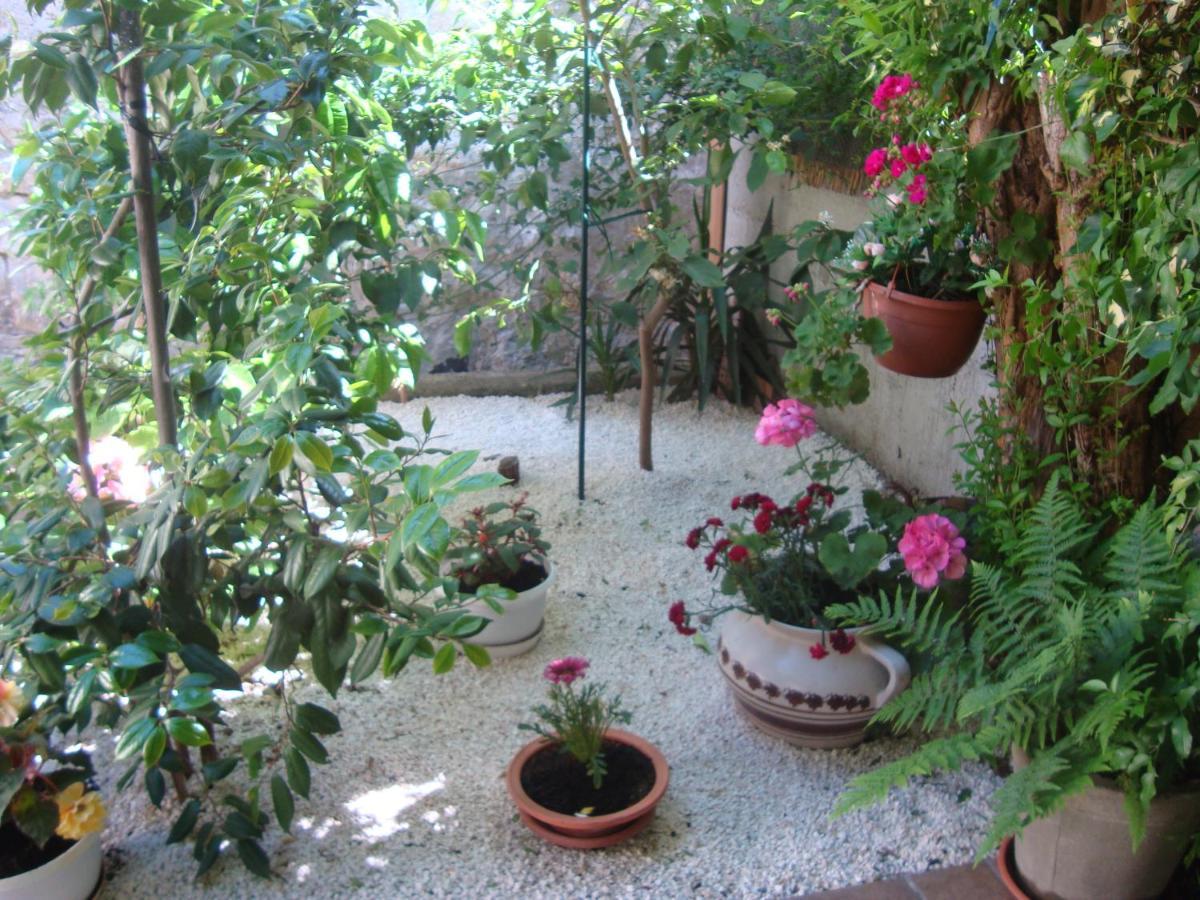 Studio Apartment Lile Trstenik  Buitenkant foto