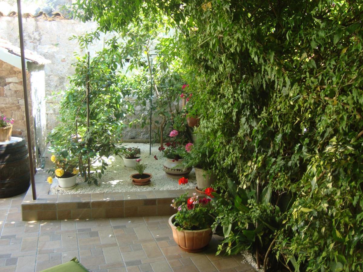 Studio Apartment Lile Trstenik  Buitenkant foto