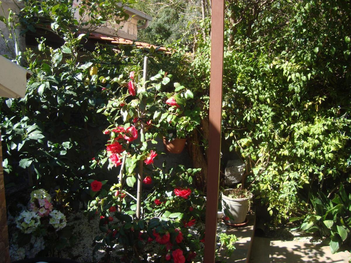 Studio Apartment Lile Trstenik  Buitenkant foto