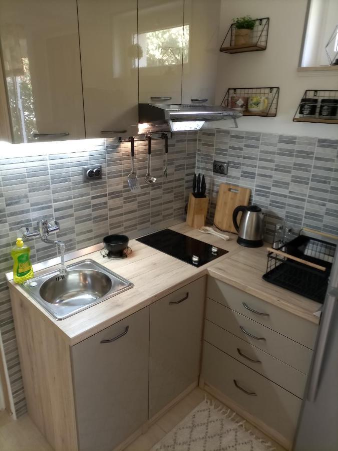 Studio Apartment Lile Trstenik  Buitenkant foto
