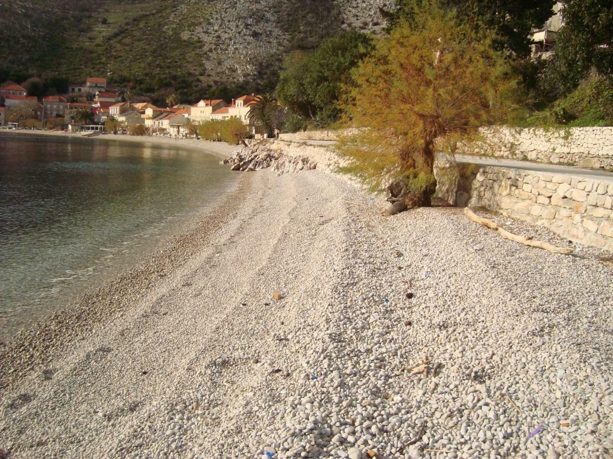Studio Apartment Lile Trstenik  Buitenkant foto